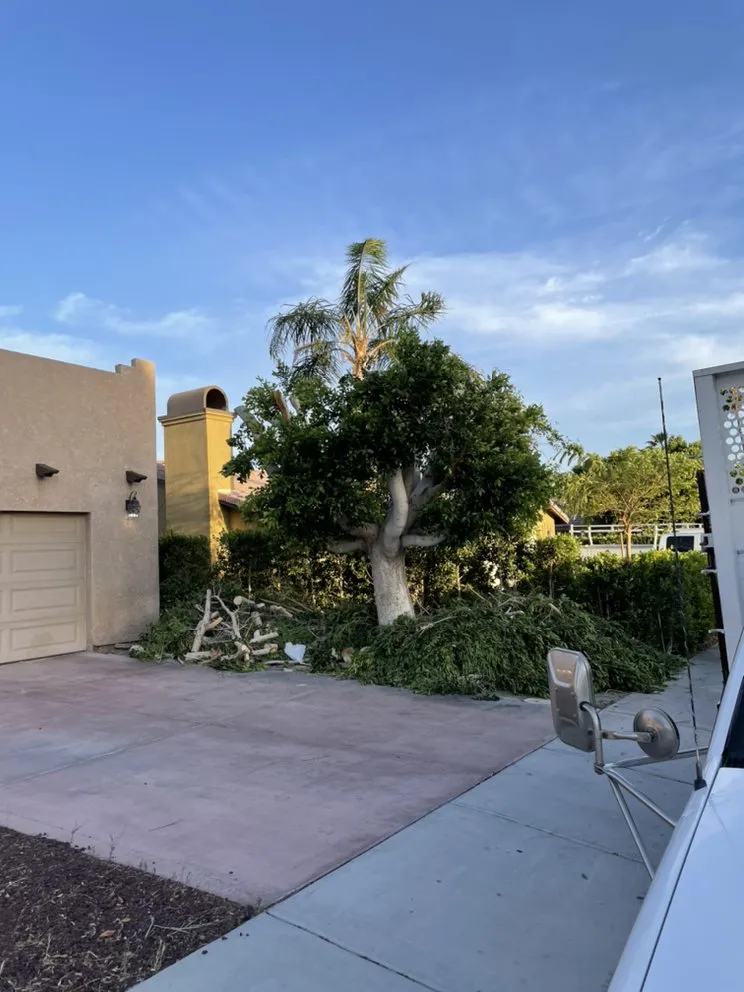 Professional lawn mowing service for outdoor upgrades in Cathedral City, CA by A Ramirez Gardening and Landscaping