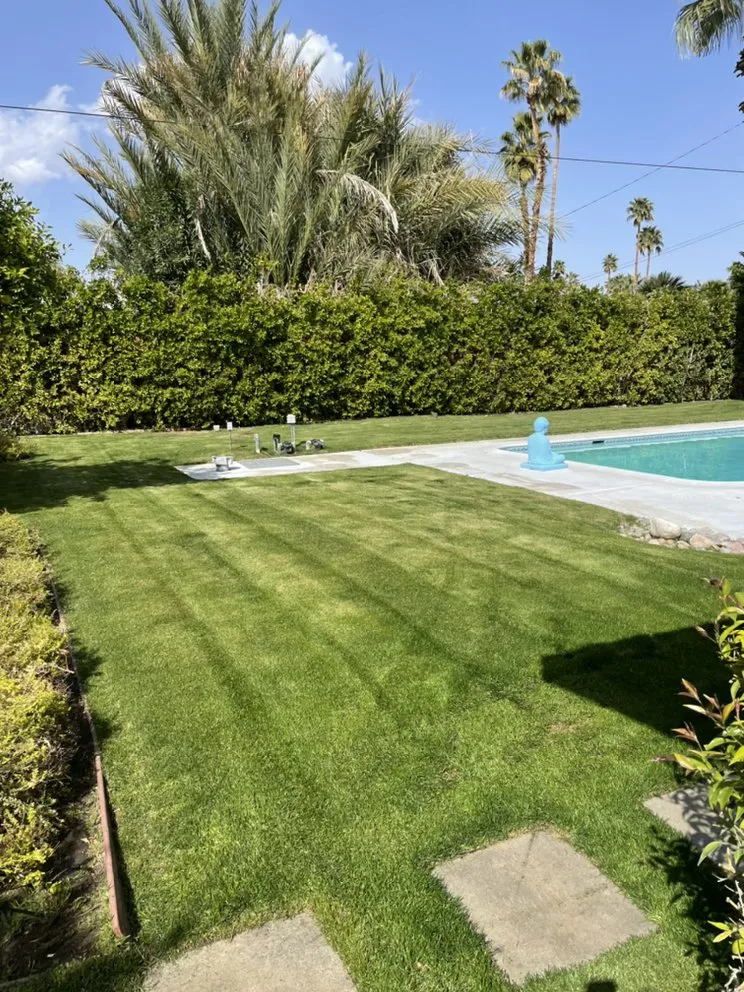 Custom landscaping services experts serving Cathedral City, CA - A Ramirez Gardening and Landscaping