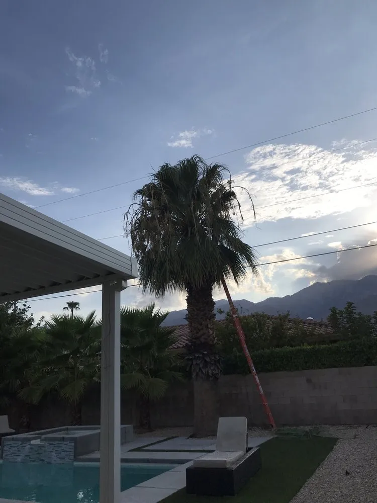 Local yard maintenance in Cathedral City, CA - A Ramirez Gardening and Landscaping