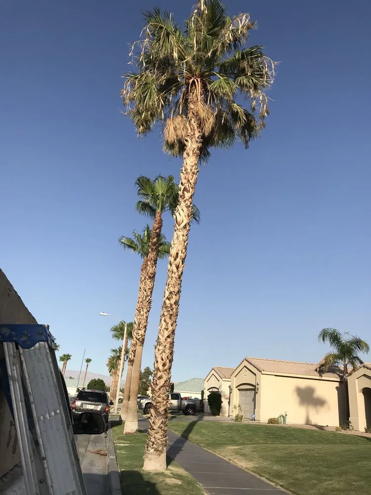 Expert landscaping services experts serving Cathedral City, CA - A Ramirez Gardening and Landscaping