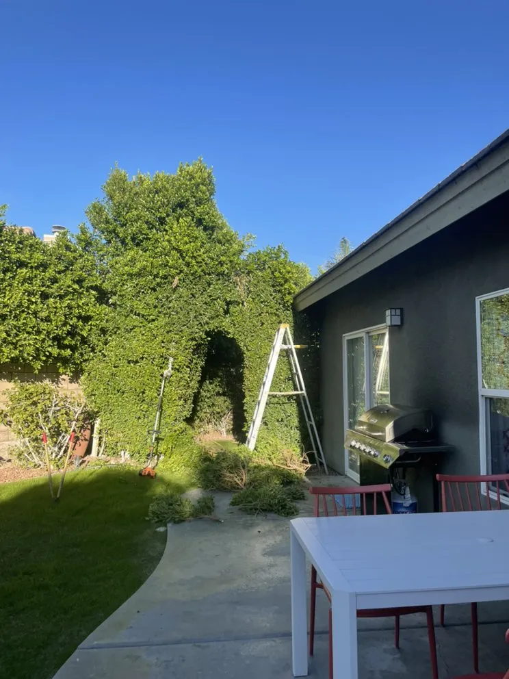 Custom landscaping services for year-round maintenance in Cathedral City, CA by A Ramirez Gardening and Landscaping