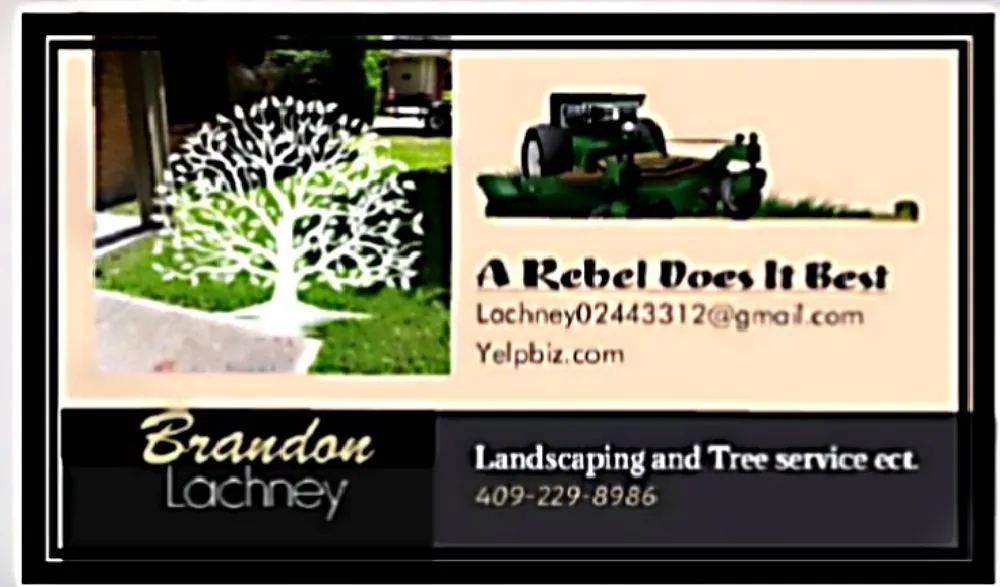 Professional garden landscaping with custom design across Santa Fe, TX - A Rebel Does It Best