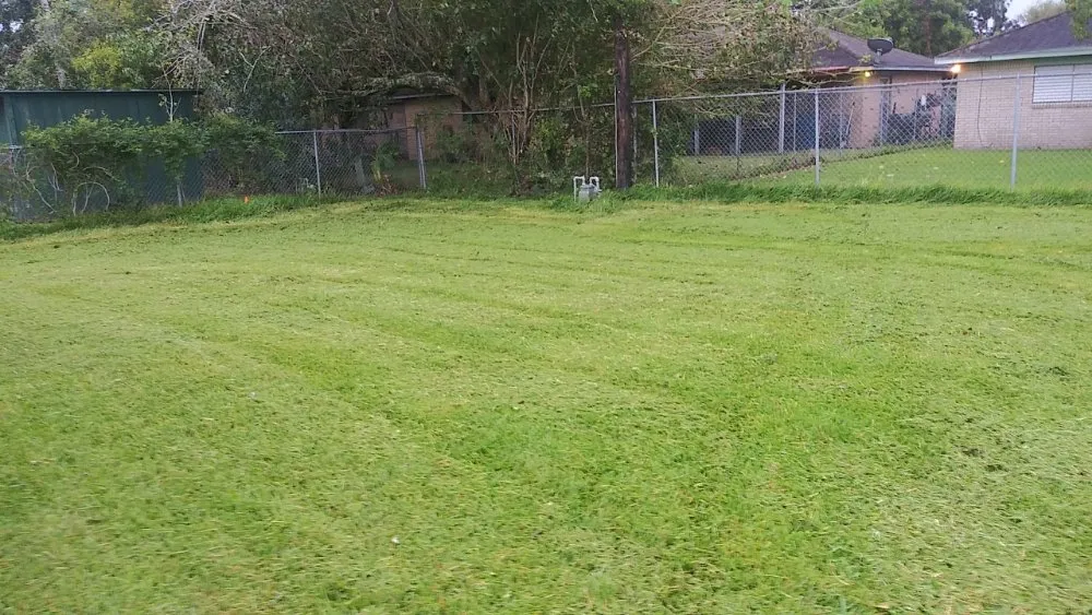 Expert landscape design in Santa Fe, TX by A Rebel Does It Best