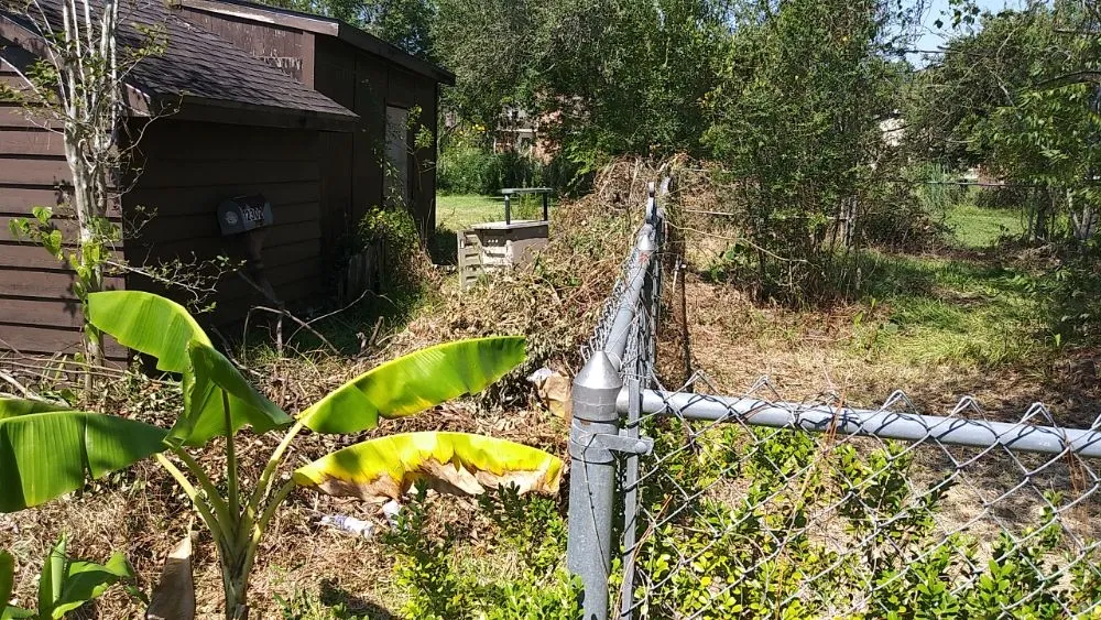 Professional landscape design in Santa Fe, TX by A Rebel Does It Best