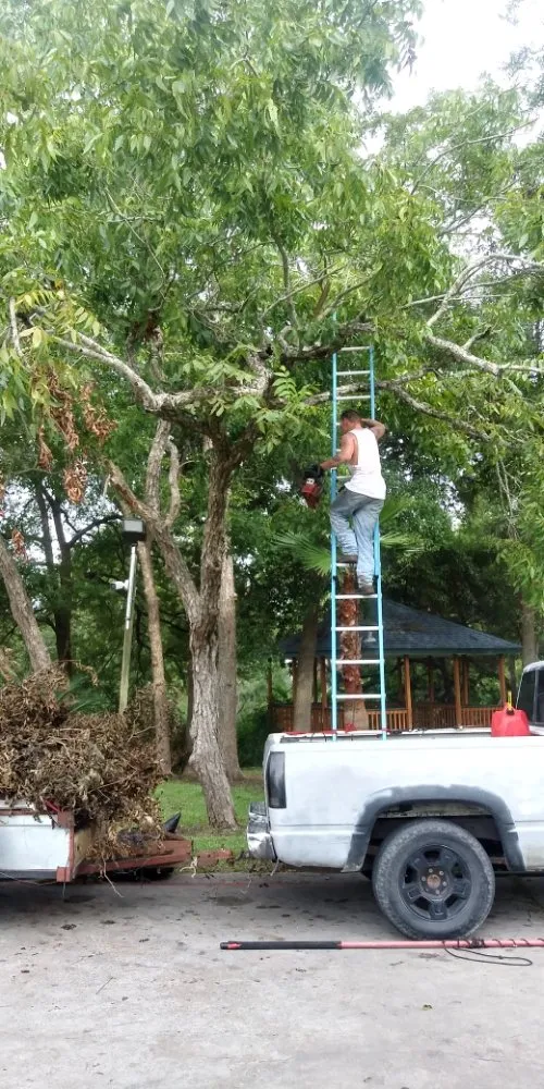 Top-rated lawn care service in Santa Fe, TX - A Rebel Does It Best