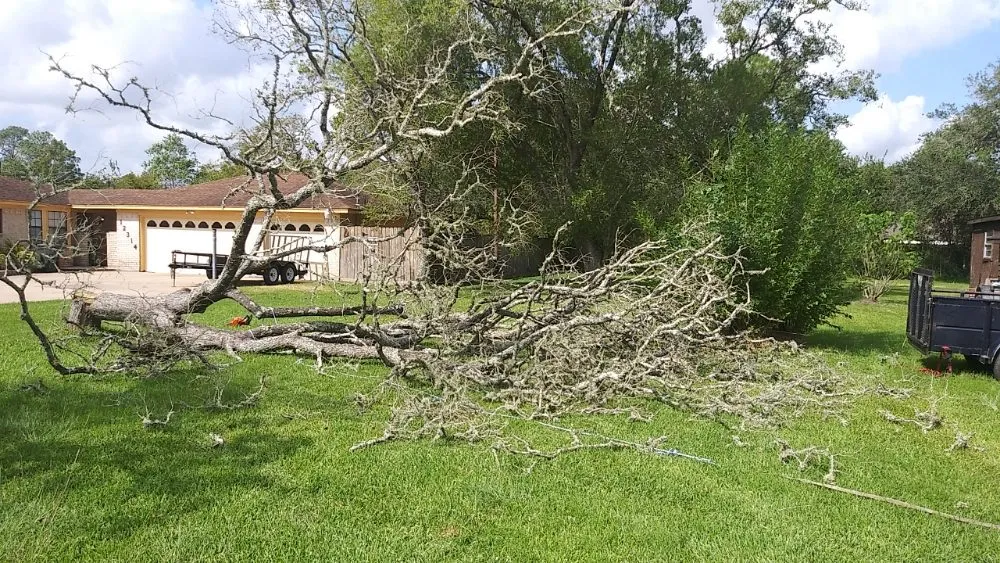 Local lawn mowing service near you in Santa Fe, TX by A Rebel Does It Best