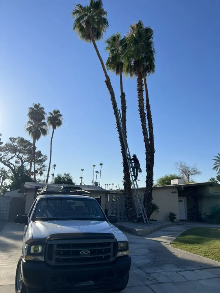 Trusted garden landscaping experts serving Thousand Palms, CA - A. Rey Landscaping