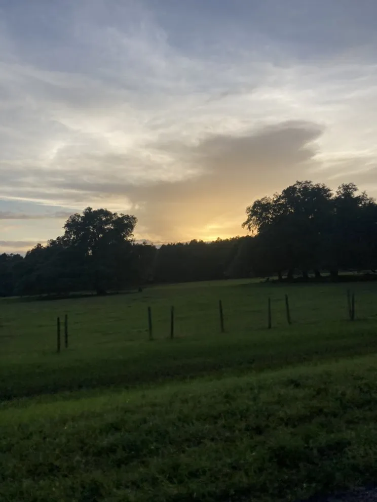 Trusted lawn mowing service experts serving Interlachen, FL - A Right Path landscaping