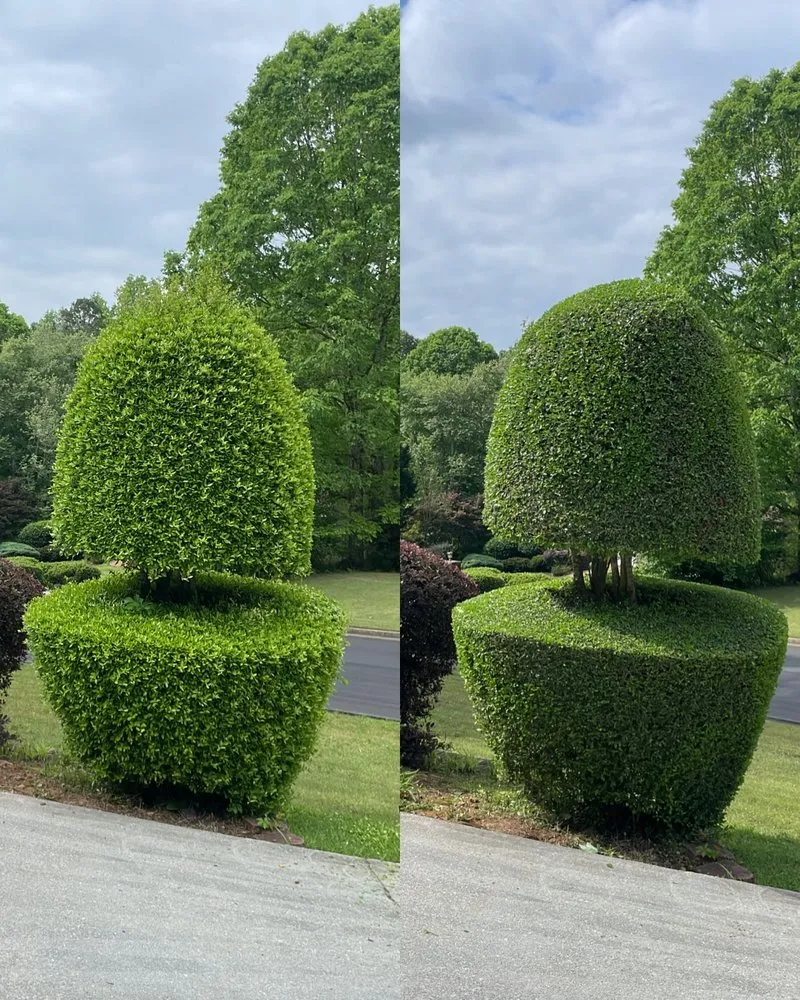 Expert residential landscaping for beautiful yards in Lawrenceville, GA by A Ros Lawn Care