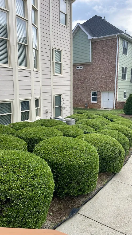 Professional lawn mowing service in Lawrenceville, GA by A Ros Lawn Care