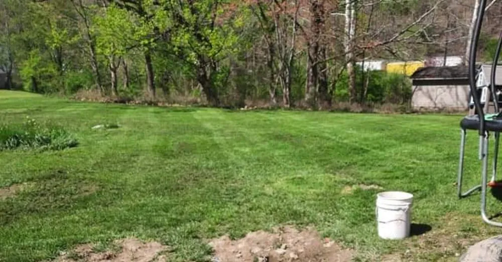 Top-rated lawn care service for outdoor upgrades across Kingston, OH - A Ross Lawncare