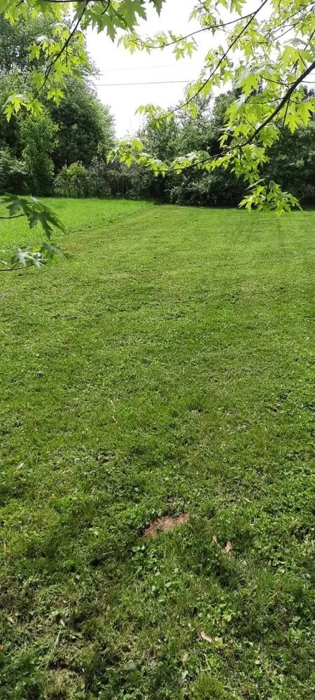 Affordable yard maintenance for residential properties in Kingston, OH by A Ross Lawncare