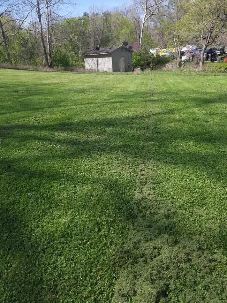 Reliable yard cleanup service for homes across Kingston, OH - A Ross Lawncare