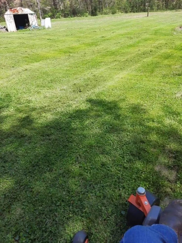 Reliable yard cleanup service experts serving Kingston, OH - A Ross Lawncare