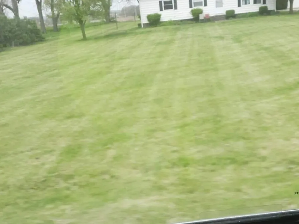 Affordable yard cleanup service for outdoor upgrades across Kingston, OH - A Ross Lawncare