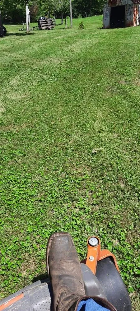 Affordable lawn care service in Kingston, OH by A Ross Lawncare