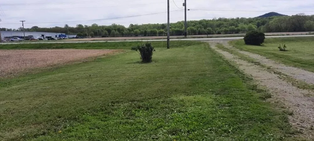 Expert yard cleanup service in Kingston, OH - A Ross Lawncare