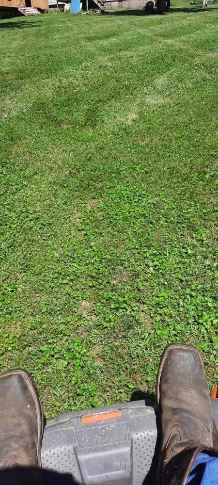 Affordable landscape installation experts serving Kingston, OH - A Ross Lawncare