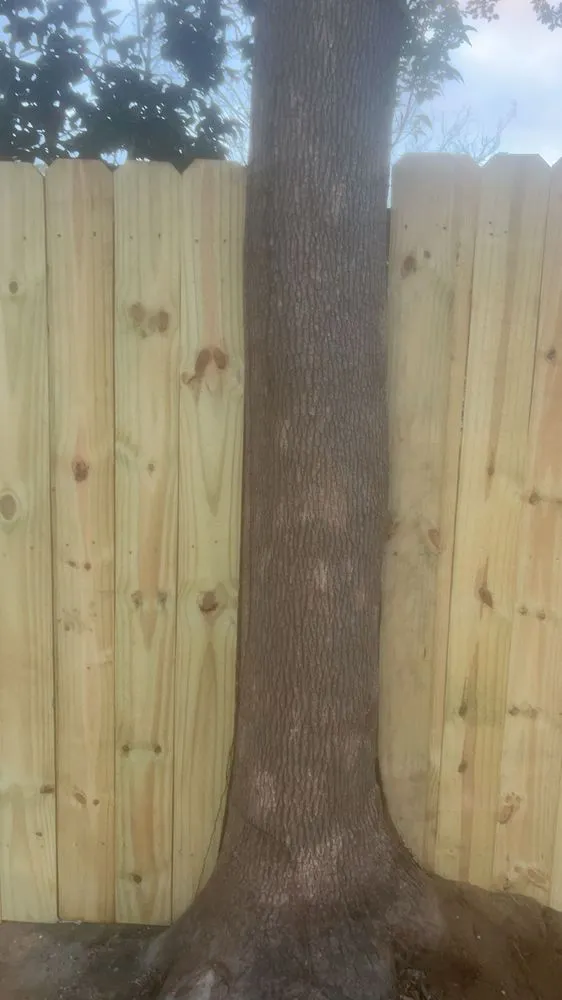 Expert lawn mowing service experts serving Montevallo, AL - A Royal Touch