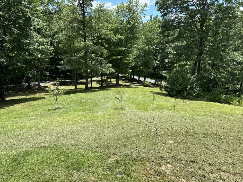 Professional landscaping services in Mineral Bluff, GA by A s Lawncare