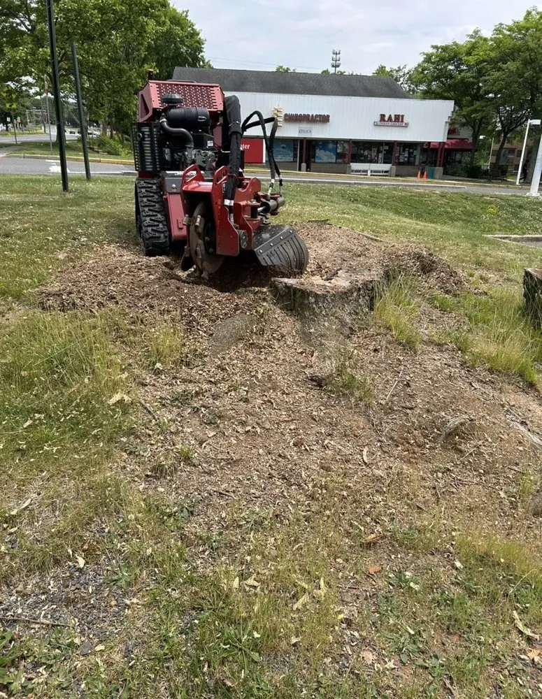 Professional lawn care service for year-round maintenance in Bridgewater, NJ by A. Sacchitelli Services