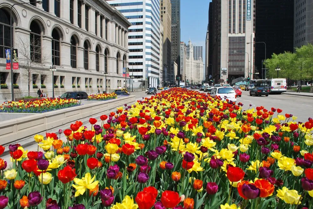 Local outdoor landscaping experts serving Chicago, IL - A Safe Haven Landscaping