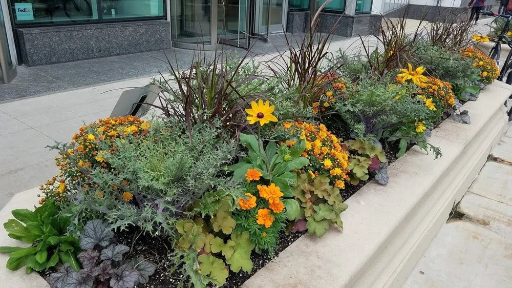 Affordable landscaping services experts serving Chicago, IL - A Safe Haven Landscaping