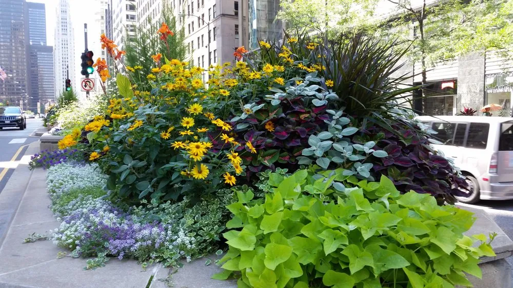 Affordable yard cleanup service for outdoor upgrades in Chicago, IL by A Safe Haven Landscaping