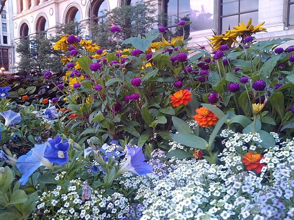 Trusted lawn mowing service in Chicago, IL - A Safe Haven Landscaping