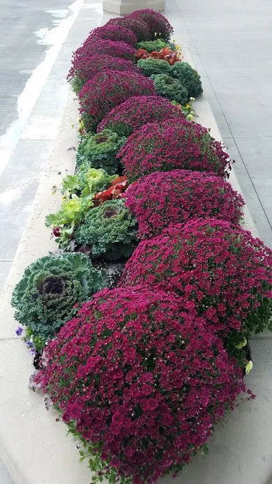 Affordable yard cleanup service for outdoor upgrades in Chicago, IL by A Safe Haven Landscaping