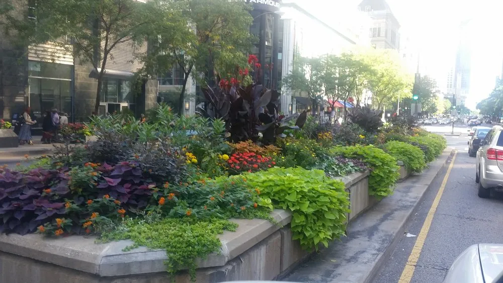 Professional lawn mowing service in Chicago, IL by A Safe Haven Landscaping