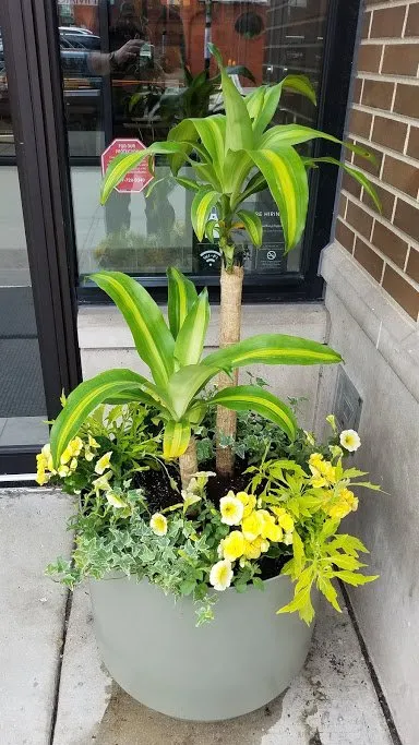 Affordable residential landscaping in Chicago, IL - A Safe Haven Landscaping