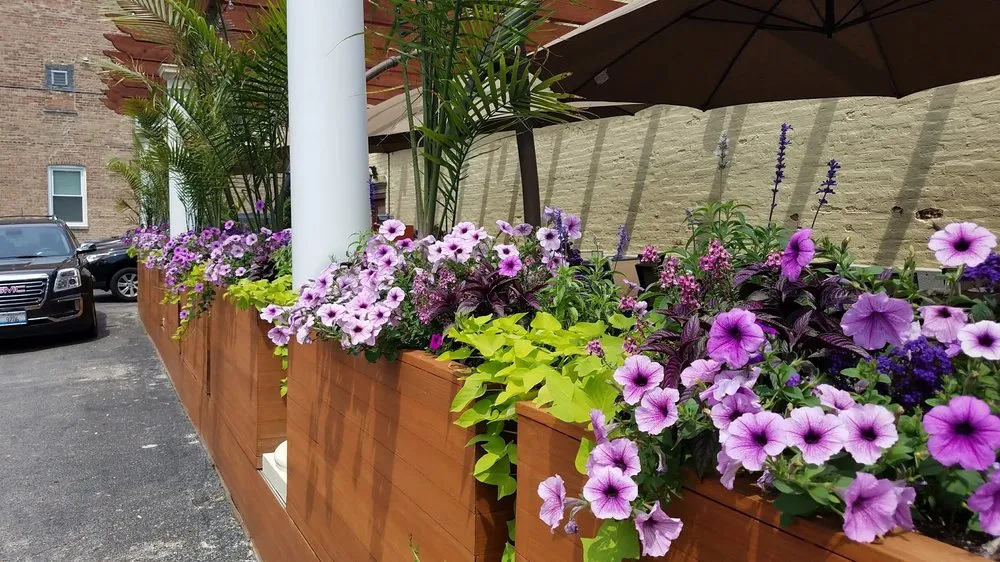 Custom lawn mowing service experts serving Chicago, IL - A Safe Haven Landscaping