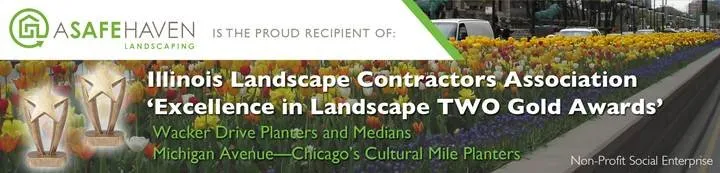 Custom lawn care service in Chicago, IL by A Safe Haven Landscaping