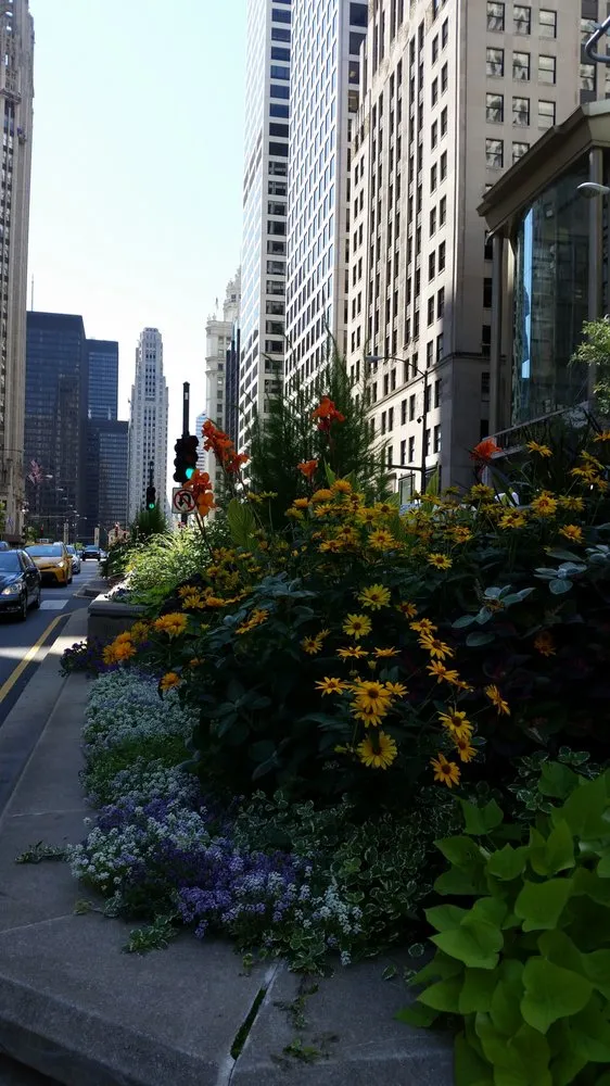 Professional landscaping services with custom design in Chicago, IL by A Safe Haven Landscaping