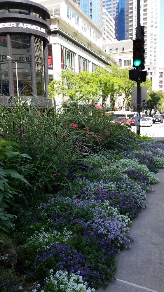 Affordable yard maintenance for beautiful yards in Chicago, IL by A Safe Haven Landscaping