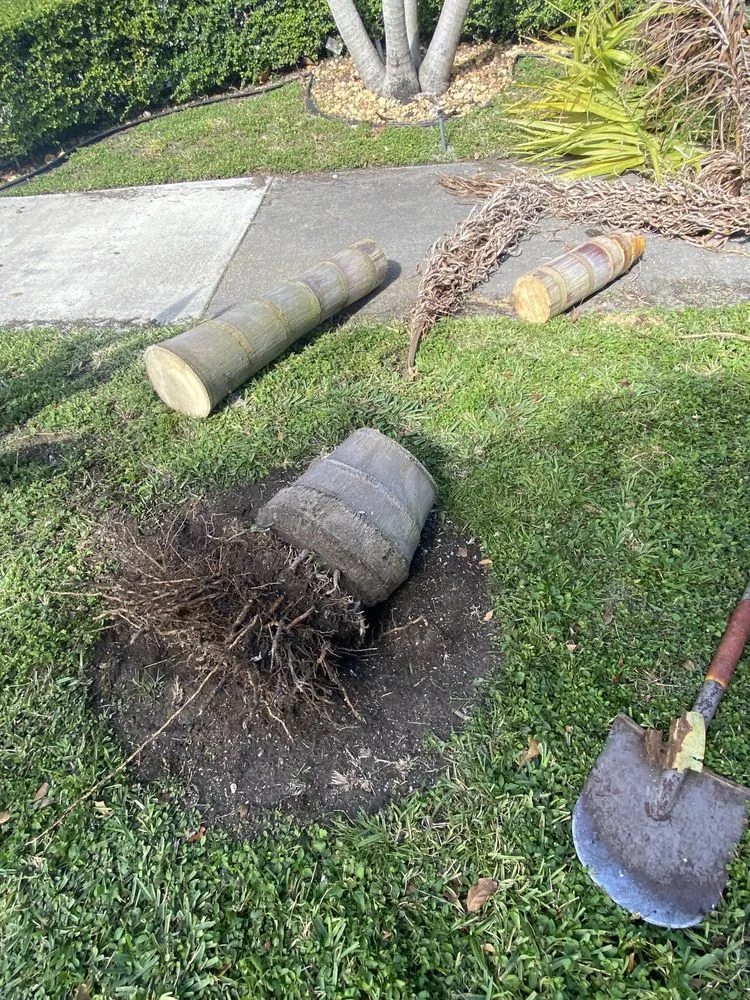 Professional yard maintenance experts serving Homestead, FL - A Sanchez Landscaping