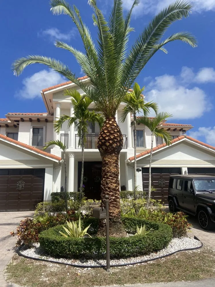 Trusted outdoor landscaping for residential properties in Homestead, FL by A Sanchez Landscaping