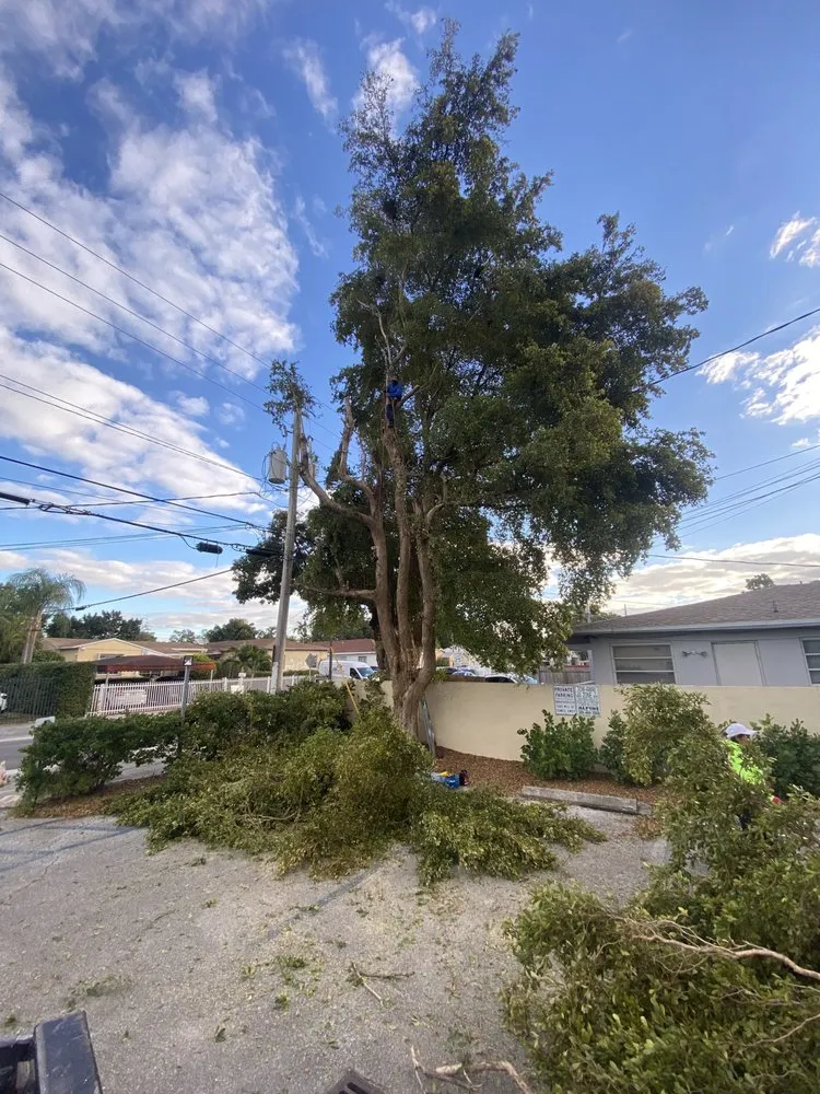 Top-rated outdoor landscaping for beautiful yards across Homestead, FL - A Sanchez Landscaping