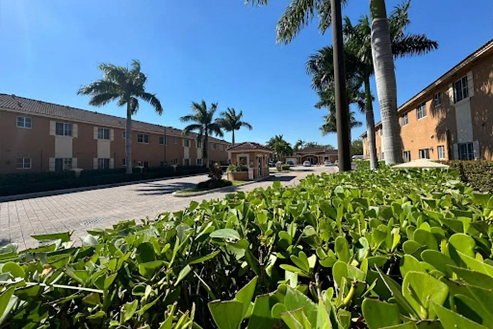 Top-rated residential landscaping experts serving Homestead, FL - A Sanchez Landscaping