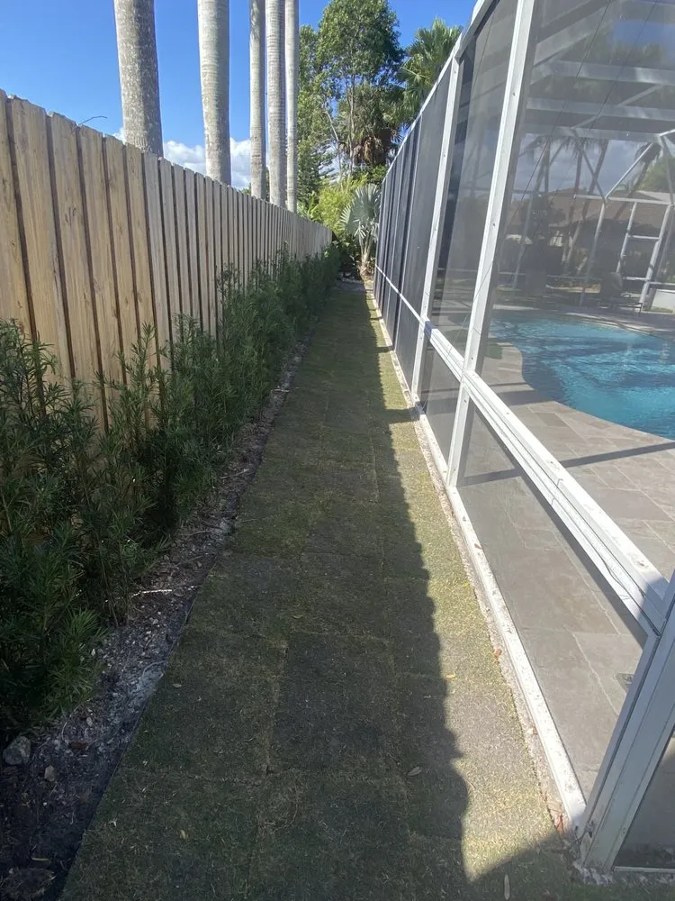 Trusted yard cleanup service experts serving Homestead, FL - A Sanchez Landscaping