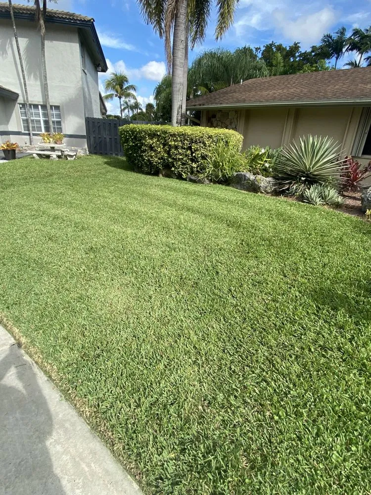 Top-rated yard maintenance experts serving Homestead, FL - A Sanchez Landscaping