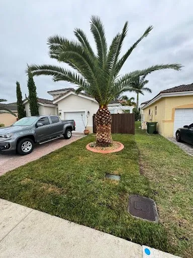 Reliable yard maintenance for year-round maintenance in Homestead, FL by A Sanchez Landscaping