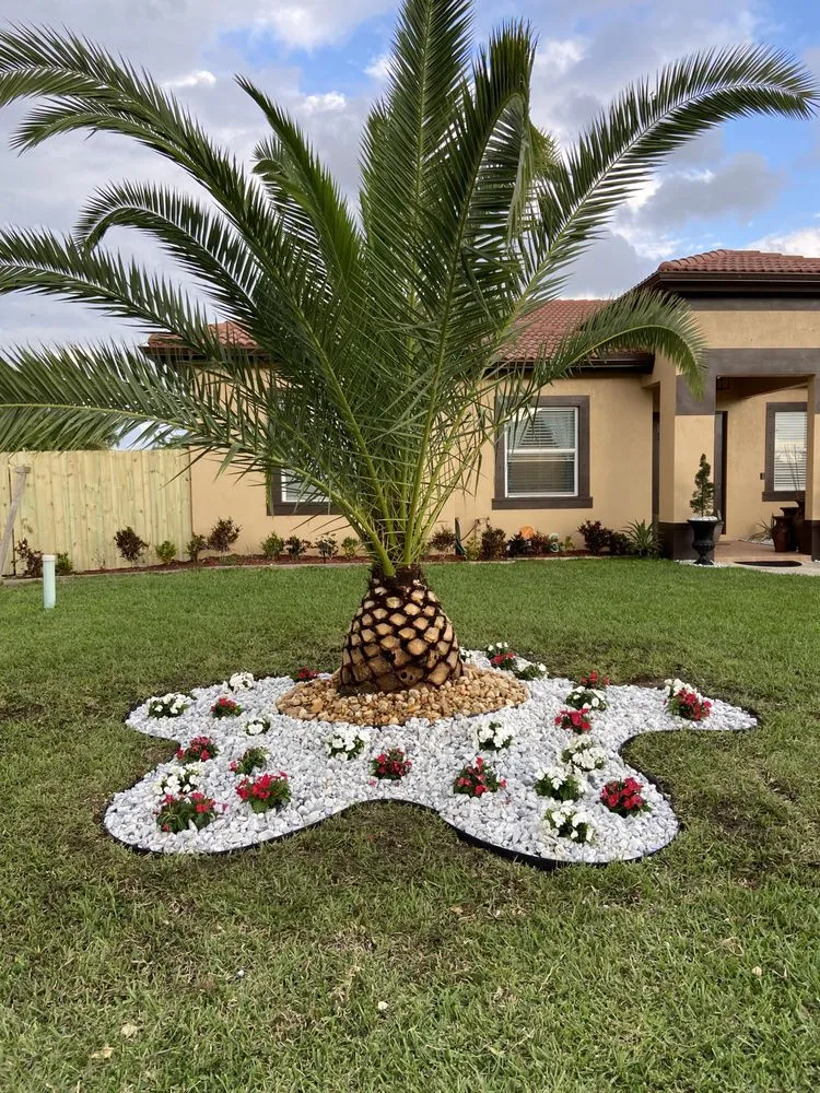 Affordable landscape installation in Homestead, FL by A Sanchez Landscaping