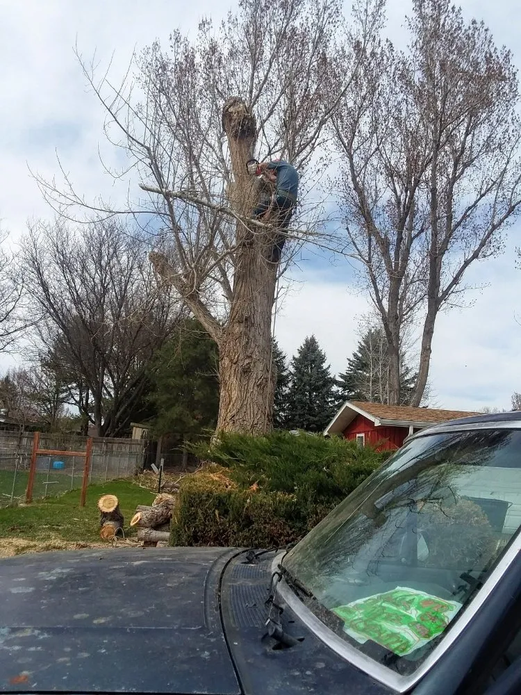 Affordable garden landscaping with custom design across Fort Morgan, CO - A Savavge Tree Service & Landscaping