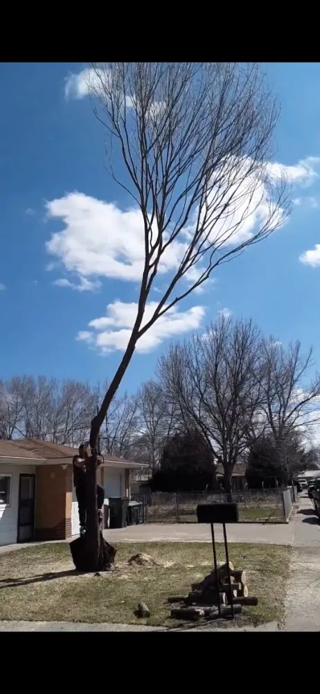 Local landscape design for beautiful yards across Fort Morgan, CO - A Savavge Tree Service & Landscaping