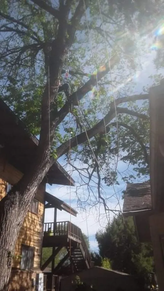 Trusted residential landscaping in Fort Morgan, CO - A Savavge Tree Service & Landscaping