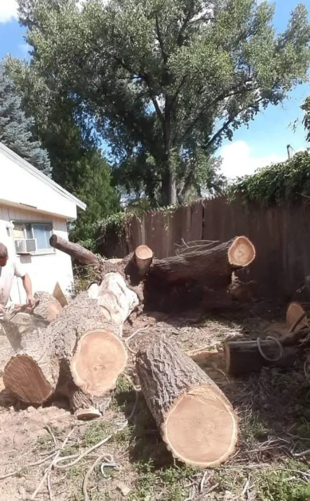Local yard maintenance for outdoor upgrades in Fort Morgan, CO by A Savavge Tree Service & Landscaping