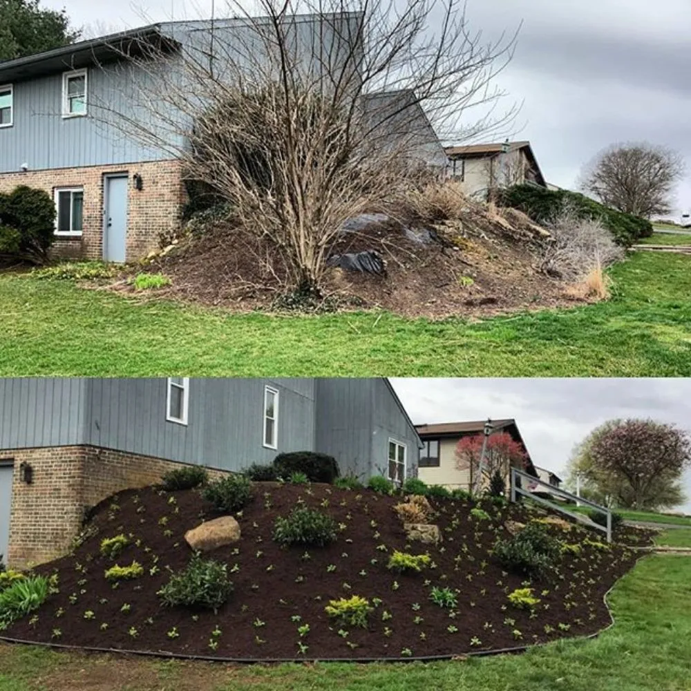 Affordable landscaping services for beautiful yards across Fort Morgan, CO - A Savavge Tree Service & Landscaping