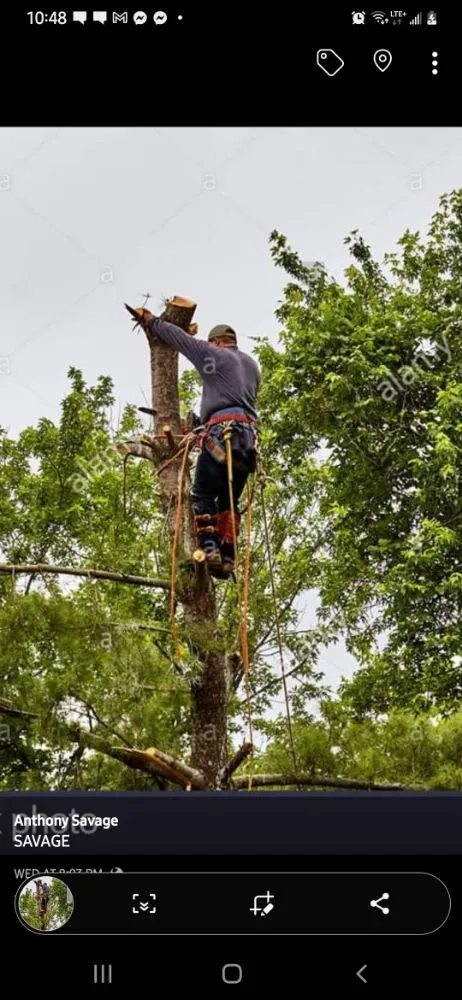 Reliable garden landscaping experts serving Fort Morgan, CO - A Savavge Tree Service & Landscaping